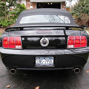 Rear