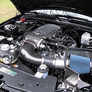 Engine w Steeda CAI