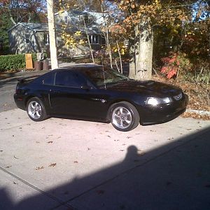 IMG 20111109 00078