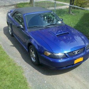 1st day i got her