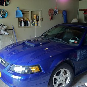 In the garage for the winter and ready to be stripped naked