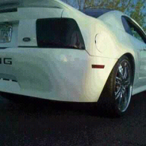 Backshot of new rims n new plate cover frame