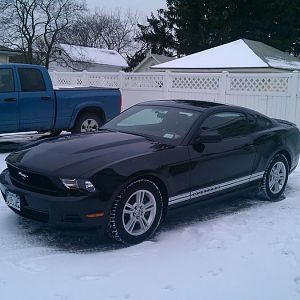 The pony likes to play in the snow.