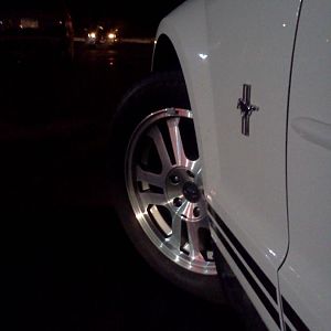 no mustang