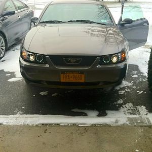 New Raxiom Halo's