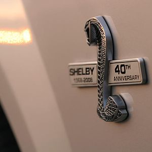 IMG 7332