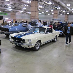 23256.jpg