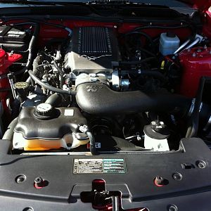 IMG 0043