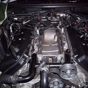 100 0494