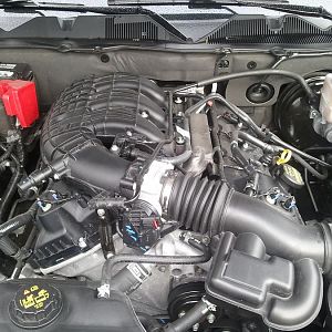 Before plenum cover