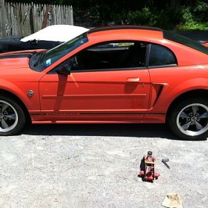 2004 Mustang GT rims