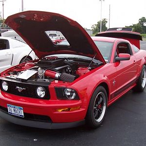 Mustang Week 2008 - Award of Excellence