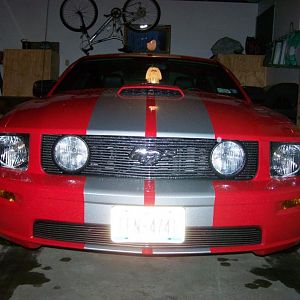 Mustang with stripes 4 20 009