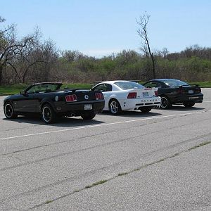 IMG 1173