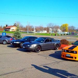 Alpine Junction