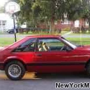 my mustang when i first got it