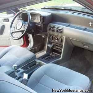 int of the mustang
