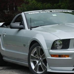 mustang15