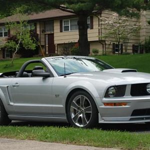 mustang4