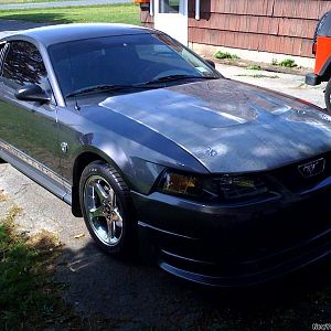 Front view