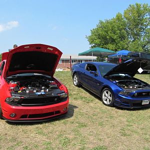 Mustang rally 2012 show