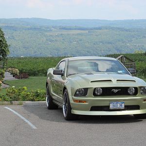 Vineyard Seneca Lake