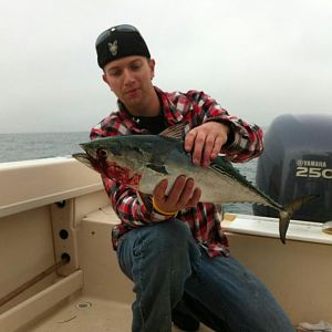 False Albacore!