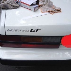 New Mustang GT sticker