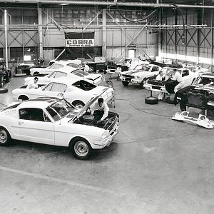 Shelby factory