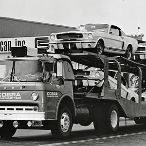 #2 Shelby GT350 deliv truck