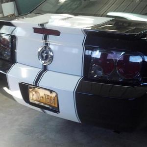 back side