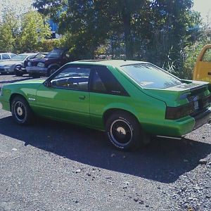 Synergy green Fox 1993 Mustang