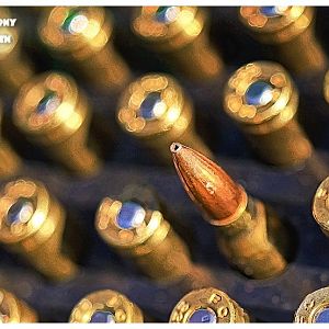 Rew
m



Remington .223
