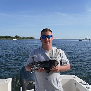 slow day. one seabass