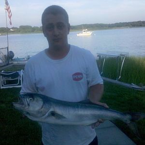 12lb bluefish caught on light tackle rod and reel (12lb mono, penn reel and shakesphere/ ugly stik rod). THAT was a fun fish!