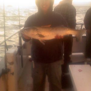 15lb striper