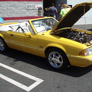 P8150058