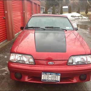 mint, 87 gt
