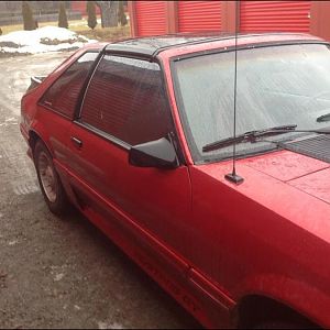 mint, 87 gt