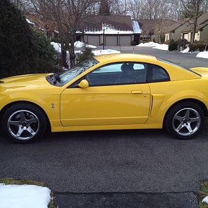 04 SY Terminator