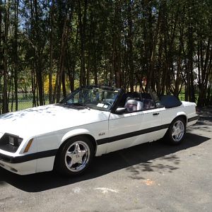 1986STANG - Mine
