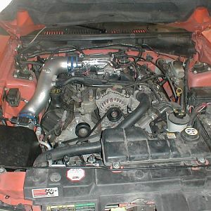 P1010155