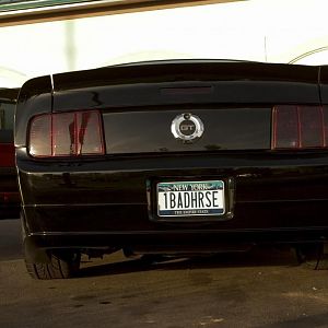 Mustang rear2