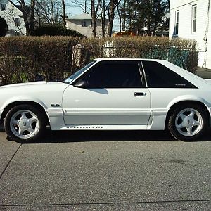 91 GT