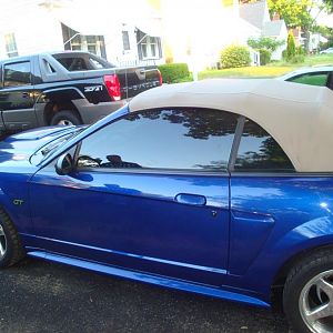 TINT