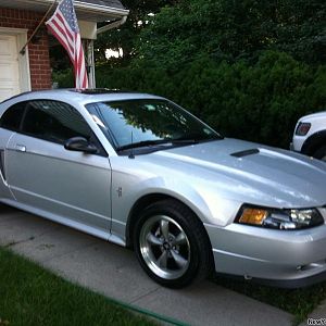 MustangRimz