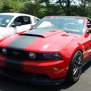 DSC01803