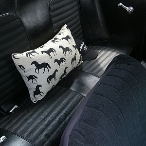 Stang Pillow in Stang.