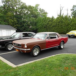 Cars in shoot.....one car is missing...a 1967 Camaro.