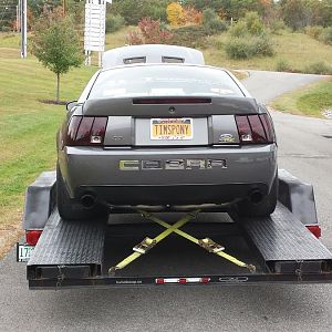 Performance Dyno